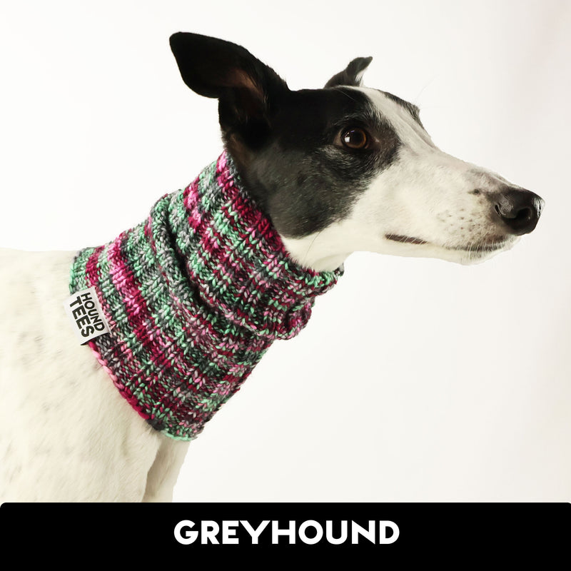 Winter Greyhound Knit Noodle