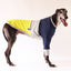 The Yellow Tradee Greyhound Sweater