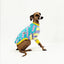 Zag Italian Greyhound Long Sleeve Hound-Tee