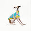 Zag Italian Greyhound Sleeveless Hound-Tee