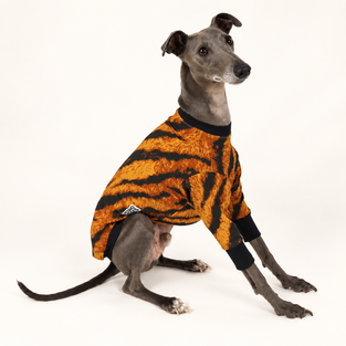 Totally Tiger Whippet Long Sleeve Hound-Tee