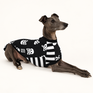 Skully Roger Whippet Sleeveless Hound-Tee