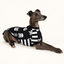 Skully Roger Whippet Sleeveless Hound-Tee