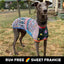Frankie Greyhound Long Sleeve Hound-Tee