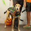 Pumpkin Head Greyhound Sleeveless Hound-Tee