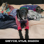 Greyts With Sass Greyhound Sleeveless Hound-Tee