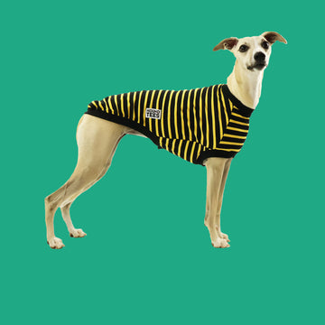 Hound-Tees for Fashion Forward Greyhounds – houndtees