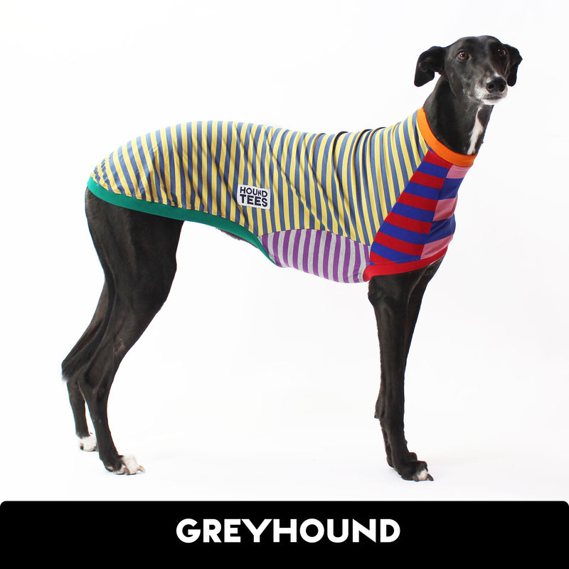 Frankie Greyhound Sleeveless Hound-Tee