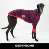 Long Bouys Greyhound Long Sleeve Hound-Tee