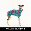 Octopus Garden Italian Greyhound Sleeveless Hound-Tee LARGE ONLY